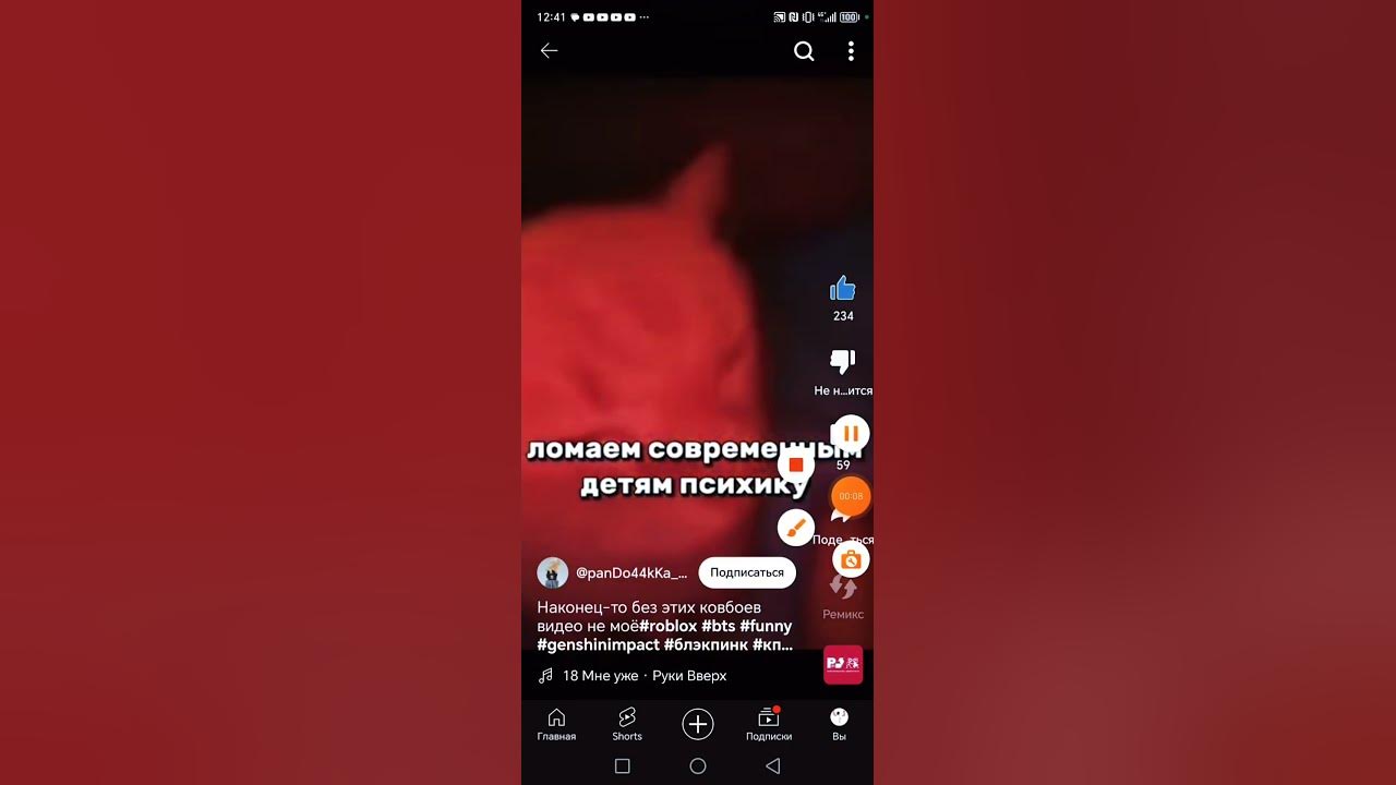 КОТ ЖОСКО ТАНЦУЕТ😎 - YouTube