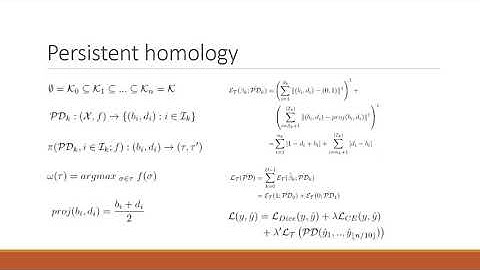 A Topological Encoding Convolutional Neural Network for Segmentation of 3D Multiphoton Images of...