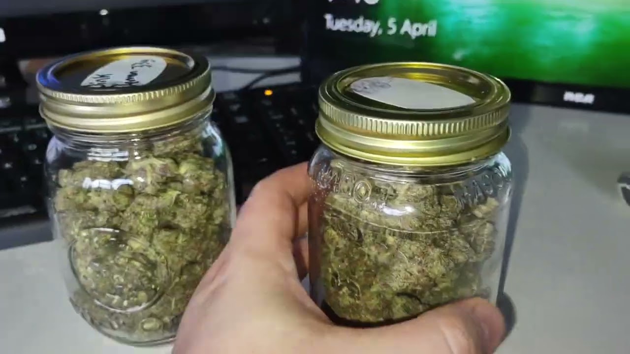 AAA pink tuna & demon pink - WEEDPOSTERS GAS PACK