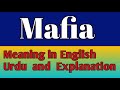 Mafia,definition of Mafia,#english