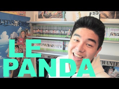 LE RIRE JAUNE - LE PANDA (Avec Les Clichés de Jigmé)