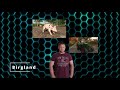 Birgland Folge 02 Es geht zum Feld
