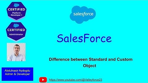 Difference between Standard and Custom object || 13