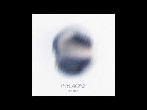 THYLACINE - Home
