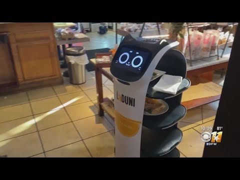 Dallas Restaurant Turns To Robots To Help Manage Labor Shortage