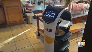 Dallas Restaurant Turns To Robots To Help Manage Labor Shortage