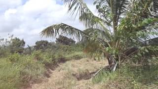 Dostara Watta Nimal Dissanayake 11