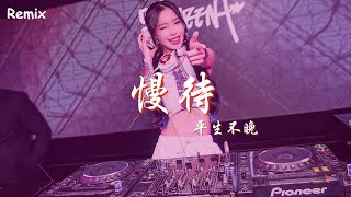 平生不晚 - 慢待 - [慢搖DJ舞曲] - 2023年最勁爆的DJ歌曲  - [Chinese Dj Remix 2023]