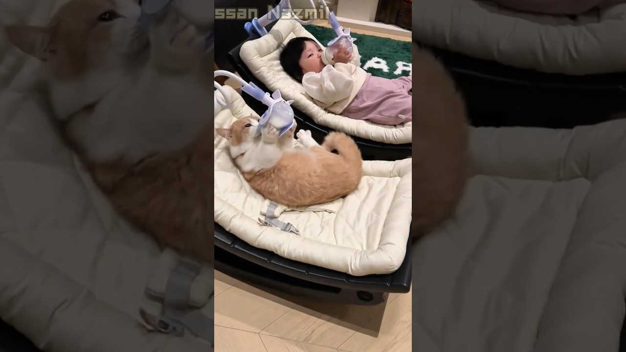 The Cat Drinks Milk With Her Baby Sister for the First Time… So Sweet! 🐱❤️👶 #shorts #funny #comedy
