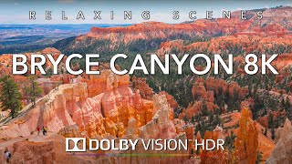 Driving Canyonlands National Park in 8K HDR Dolby Vision  Moab to Canyonlands Utah