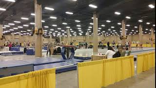 Mackenzie Level 9 Vault - Nashville Nights 2020, Nashville, TN