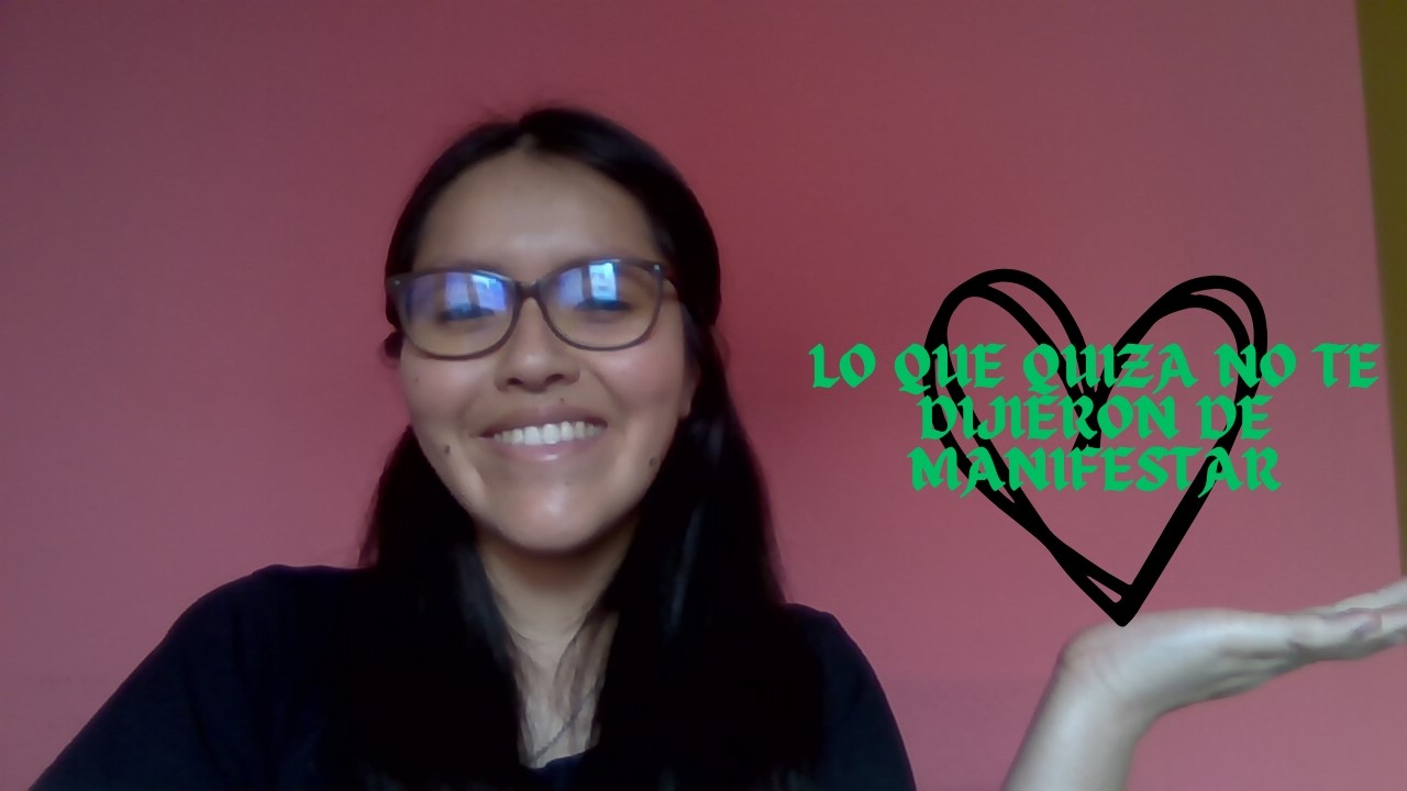 lo que quizas no te contaron sobre la manifestacion