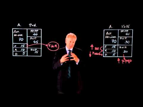 16. Resumen y conclusiones la importancia de la base