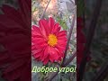 Доброе утро 💖