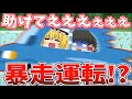 【茶番】魔理沙の運転が下手過ぎて大暴走！？霊夢達が死ぬ...!?