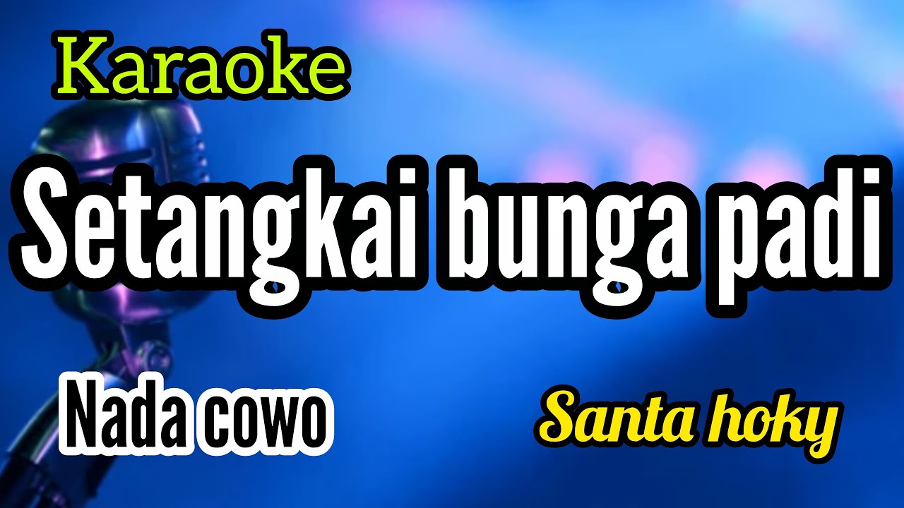 Karaoke SETANGKAI BUNGA PADI full lirik nada COWO