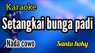 Download Lagu Karaoke SETANGKAI BUNGA PADI full lirik nada COWO MP3 Download Lagu Karaoke SETANGKAI BUNGA PADI full lirik nada COWO MP3