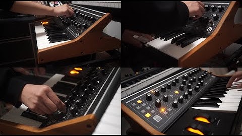 Moog Subsequence Sub 25 Demo in Action