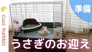 【うさぎ】お迎えに必要なもの（最低限）を準備！これでウサギを飼うことが出来ます【ネザーランドドワーフ】Rabbit vlog #2