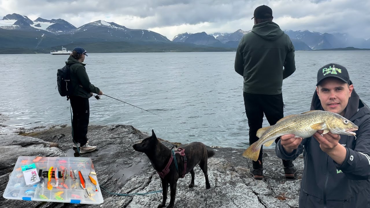 Nyt löytyi ottivieheet - Turskan ja Seitin Rantakalastus Norjassa - Kalastus Vuonossa ja Jäämerellä