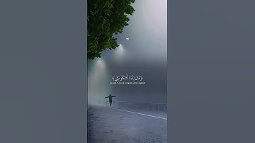 #القرآن_الكريم #تلاوة_عذبة #خشوع #ذكر_الله #راحة_نفسية #قرآن_كريم