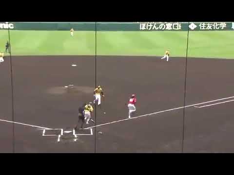 【令和初の試合】5/1阪神ｰ広島 ダイジェスト2019