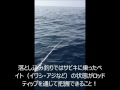 GokuEvolution Light Game 落とし込み釣りに使ってみた！
