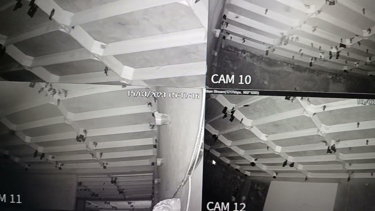 chia sẻ vách ngăn có hiệu quả. không vách ngăn cũng có hiệu quả tốt