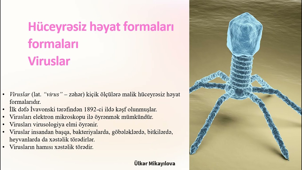 Viruslar.🌻