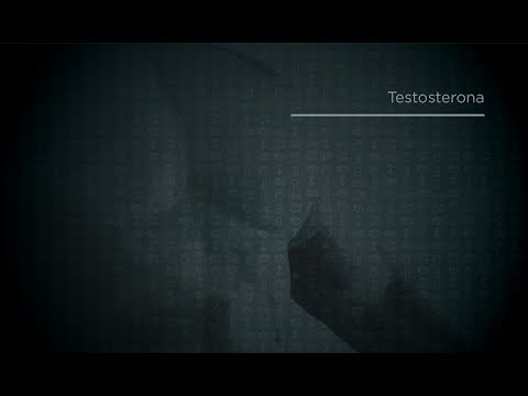 [Homem de Ferro] Módulo 2 - Testosterona - [Homem de Ferro] Módulo 2 - Testosterona
