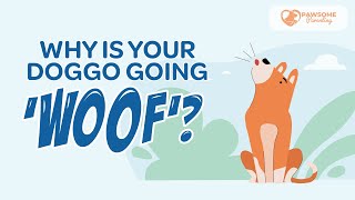 Why Do Dogs Bark? Dog Barking Explained - Pawsome Parenting