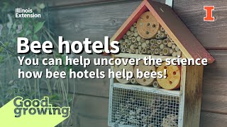 The science behind bee hotels | #GoodGrowing