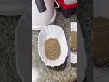 ACACIA SEEDS TO HELP TREAT STOMACH ULCER 