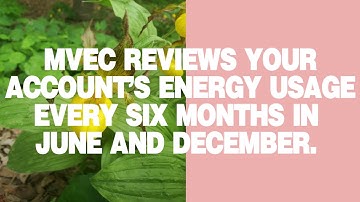 How Budget Billing Payment Adjustment Works