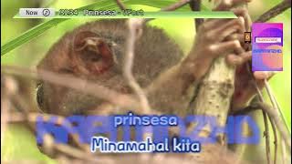 Prinsesa by VFort Karaoke TJ Supremo (Minus One/Instrumental)