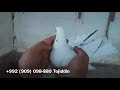 Таджикские голуби- душанбинские черноносые Тоджиддина (лет и игра)