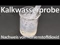 Kalkwasserprobe zum Nachweis von Kohlenstoffdioxid und gelöstem Calciumhydroxid  - Chemie Schule Mp3 Song