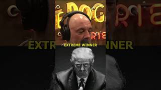 Trump Is What You'd Call an Extreme Winner - Joe Rogan