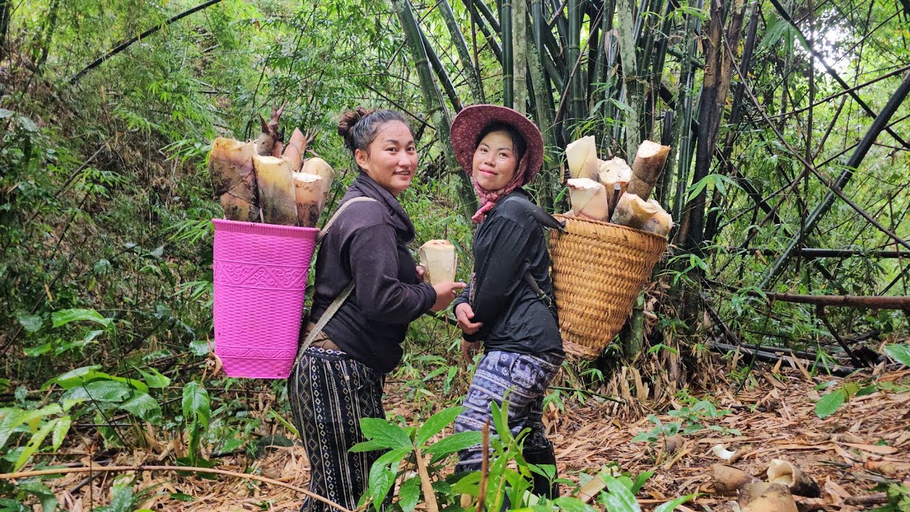 Niam ntxawm maib peb ma lov tau ntsuag xyoob ntau tiagtiag li os