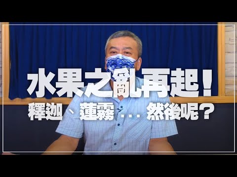 '21.09.20【小董真心話】水果之亂再起！釋迦、蓮霧...然後呢？