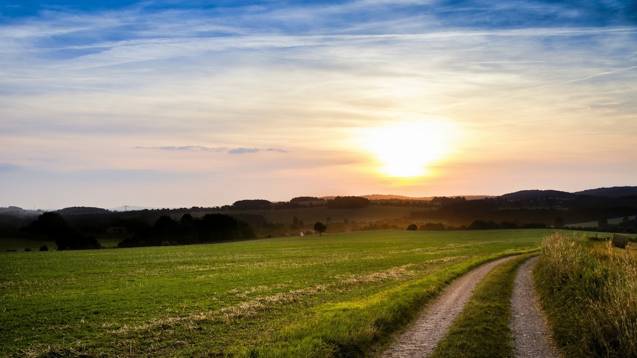 video phone beyonce mp3 Sociedad Fomento de Treinta y Tres - Strauch