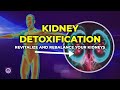 Kidney Detoxification and Rejuvenation | Revitalize and Rebalance Your Kidneys | Sound Therapy