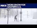 More snow on the way to eastern U.S. | FOX 13 Seattle