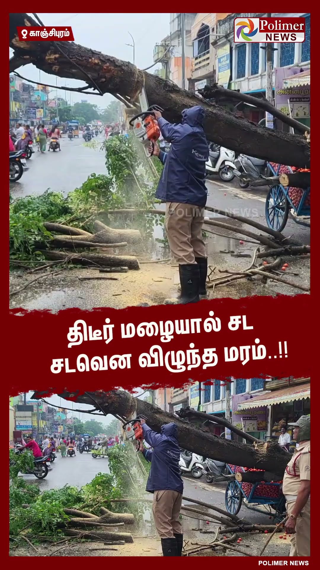திடீர் மழையால் சட சடவென விழுந்த மரம்..!! #shorts