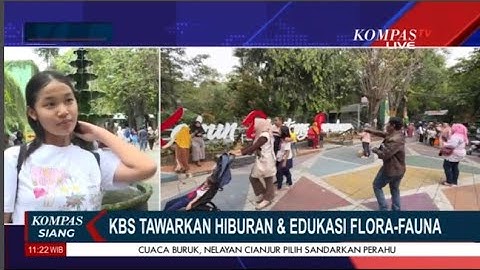KBS Tawarkan Hiburan & Edukasi Flora - Fauna dan Bali Zoo Jadi Pilihan Habiskan Liburan Sekolah