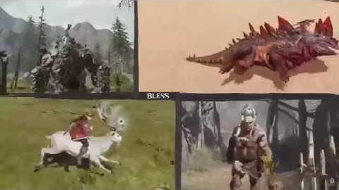Bless Online: Gotta Tame Em All!