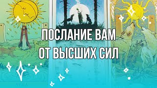 Послание вам от высших сил | Общий расклад