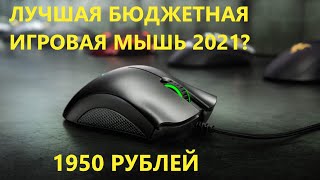 RAZER DEATHADDER ESSENTIAL ОБЗОР И АНБОКСИНГ НА ЛУЧШУЮ БЮДЖЕТНУЮ ИГРОВУЮ МЫШКУ 2021 ГОДА