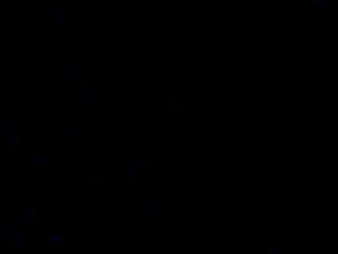 フェレ。悪夢にうなされる
