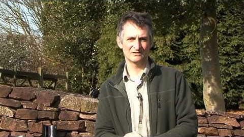 Regton Metal Detecting Tips: How do we Pinpoint?